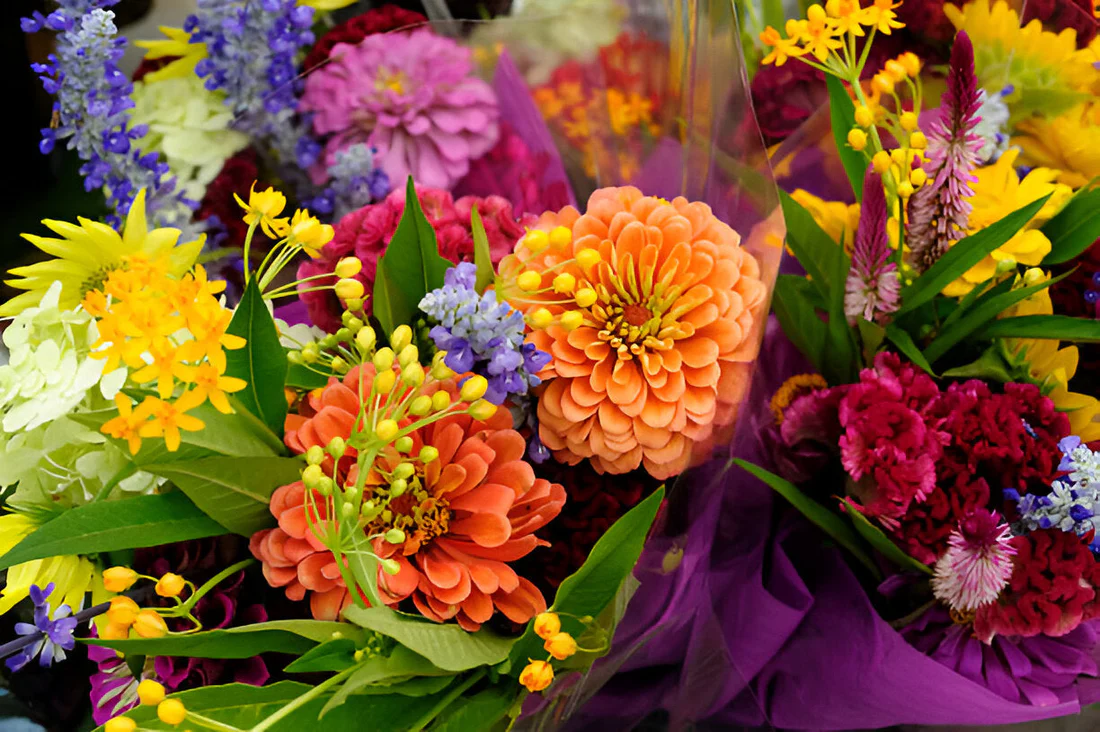 Devant -L’Agitateur Floral Soldes Autumn Blooms The Best Seasonal Flowers to Buy in March img