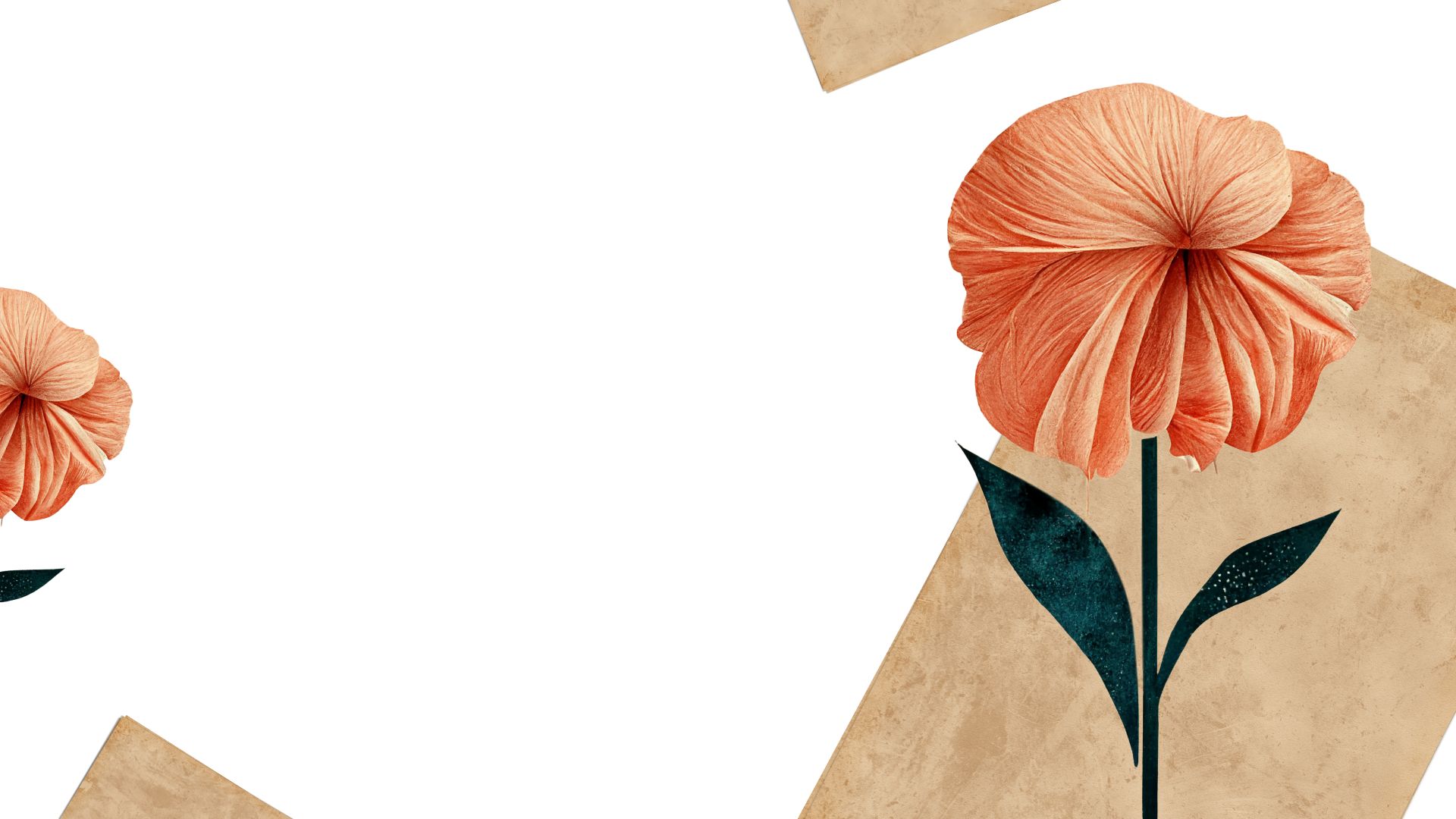 Devant -L’Agitateur Floral Soldes Orange and Beige Vintage Illustrative Flowers Presentation 1