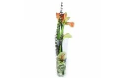 Assemblage De Fleurs En Hauteur "Atlanta"