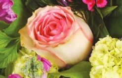 Bouquet Champêtre Campagne -L’Agitateur Floral Soldes bouquet champetre campagne 2