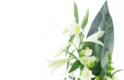 Bouquet De Deuil Blanc, Condoléances -L’Agitateur Floral Soldes bouquet de deuil blanc condoleances 2