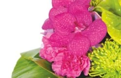 Bouquet De Fleurs Boudoir -L’Agitateur Floral Soldes bouquet de fleurs boudoir 2