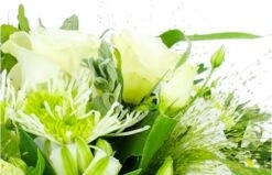 Bouquet De Fleurs Champêtres & Blanches"Ajaccio" -L’Agitateur Floral Soldes bouquet de fleurs champetres blanches ajaccio 2