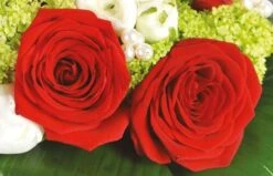 Bouquet De Fleurs Cherry -L’Agitateur Floral Soldes bouquet de fleurs cherry 2