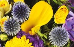 Bouquet De Fleurs Jaune Et Mauve Antoine 5 Bouquet De Fleurs Jaune Et Mauve Antoine -L’Agitateur Floral Soldes bouquet de fleurs jaune et mauve antoine 2