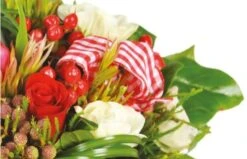 Bouquet De Fleurs Rouges Evidence 5 Bouquet De Fleurs Rouges Evidence -L’Agitateur Floral Soldes bouquet de fleurs rouges evidence 2