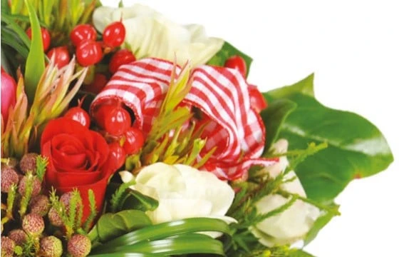 Bouquet De Fleurs Rouges Evidence 3 Bouquet De Fleurs Rouges Evidence – Image 3