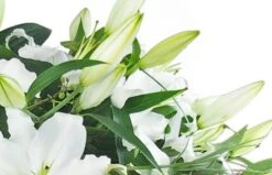 Bouquet De Lys Blanc "Alicante" -L’Agitateur Floral Soldes bouquet de lys blanc alicante 2
