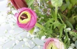 Bouquet De Renoncules "Pimprenelle" -L’Agitateur Floral Soldes bouquet de renoncules pimprenelle 2