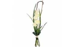 Bouquet De Roses Blanches Colombe