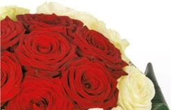 Bouquet De Roses Rouges Et Blanches Complicité -L’Agitateur Floral Soldes bouquet de roses rouges et blanches complicite 2