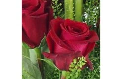 Bouquet Long De Roses Rouges "Saragosse" -L’Agitateur Floral Soldes bouquet long de roses rouges saragosse 2