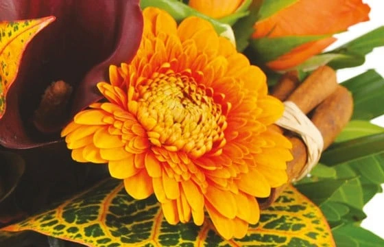 Bouquet Orange Craquant 2 Bouquet Orange Craquant – Image 2