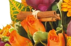 Bouquet Orange Craquant 5 Bouquet Orange Craquant -L’Agitateur Floral Soldes bouquet orange craquant 2