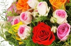 Bouquet Rond De Roses Multicolores -L’Agitateur Floral Soldes bouquet rond de roses multicolores 2