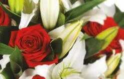 Bouquet Rond Délicatesse 5 Bouquet Rond Délicatesse -L’Agitateur Floral Soldes bouquet rond delicatesse 2