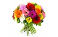 Bouquet Rond Multicolore " Stockholm"
