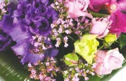 Bouquet Rond Perle D'O -L’Agitateur Floral Soldes bouquet rond perle d o 2