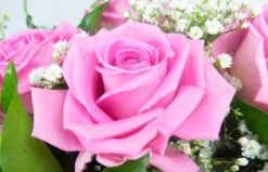 Bouquet Rond Pluie De Roses 5 Bouquet Rond Pluie De Roses -L’Agitateur Floral Soldes bouquet rond pluie de roses 2