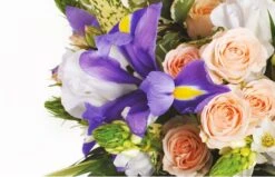 Devant -L’Agitateur Floral Soldes bouquet rond reine 1