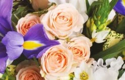 Bouquet Rond Reine -L’Agitateur Floral Soldes bouquet rond reine 2