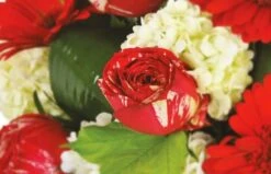 Bouquet Rond Rouge Sonate 5 Bouquet Rond Rouge Sonate -L’Agitateur Floral Soldes bouquet rond rouge sonate 2