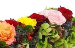 Chemin De Roses Colorées "Socrate" 5 Chemin De Roses Colorées "Socrate" -L’Agitateur Floral Soldes chemin de roses colorees socrate 2