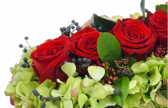 Chemin De Roses Rouges "Antiope" 2 Chemin De Roses Rouges "Antiope" – Image 2