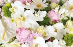 Coeur De Deuil Archange -L’Agitateur Floral Soldes coeur de deuil archange 2