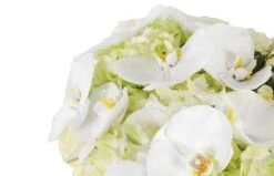 Coeur De Deuil Blanc Chérubin 5 Coeur De Deuil Blanc Chérubin -L’Agitateur Floral Soldes coeur de deuil blanc cherubin 2