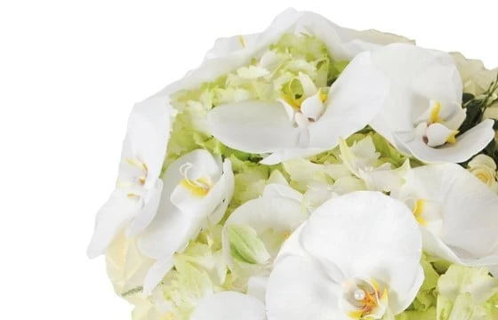 Coeur De Deuil Blanc Chérubin 3 Coeur De Deuil Blanc Chérubin – Image 3