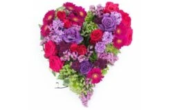 Coeur De Deuil Fuchsia & Mauve "Antigone"