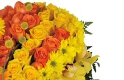 Coeur De Deuil Jaune Et Orange Murmure -L’Agitateur Floral Soldes coeur de deuil jaune et orange murmure 2