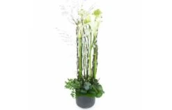 Composition Blanche En Hauteur "Lima"