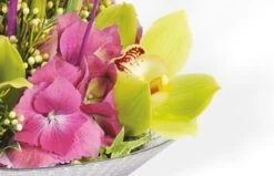 Composition Belle Dame -L’Agitateur Floral Soldes composition de fleurs belle dame 2