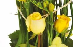 Composition De Fleurs Jaunes Bora-Bora -L’Agitateur Floral Soldes composition de fleurs jaunes bora bora 2