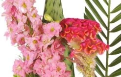 Composition De Fleurs Lady -L’Agitateur Floral Soldes composition de fleurs lady 2