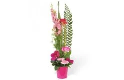 Composition De Fleurs Lady