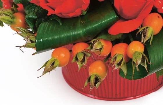 Composition De Fleurs Rouges Malaga 2 Composition De Fleurs Rouges Malaga – Image 2