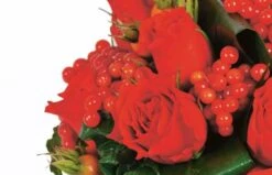 Composition De Fleurs Rouges Malaga 5 Composition De Fleurs Rouges Malaga -L’Agitateur Floral Soldes composition de fleurs rouges malaga 2