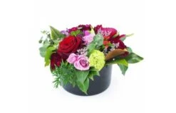 Composition De Rose Rouge & Mauve "Phoenix"