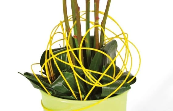 Composition De Roses Jaunes Lily 2 Composition De Roses Jaunes Lily – Image 2