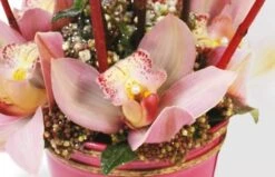 Devant -L’Agitateur Floral Soldes composition de roses lady rose 1