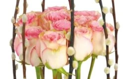 Composition De Roses Roses Cage D'Amour -L’Agitateur Floral Soldes composition de roses roses cage d amour 2