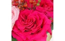 Composition De Roses "Saint Louis" -L’Agitateur Floral Soldes composition de roses saint louis 2