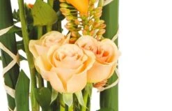 Composition En Hauteur Unique -L’Agitateur Floral Soldes composition en hauteur unique 2