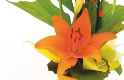 Composition Florale Abricot -L’Agitateur Floral Soldes composition florale abricot 2