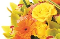 Composition Florale Aphrodite -L’Agitateur Floral Soldes composition florale aphrodite 2