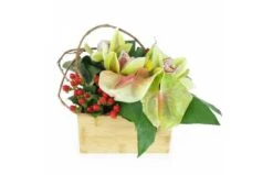 Composition Florale Carrée Verte "Aurora"