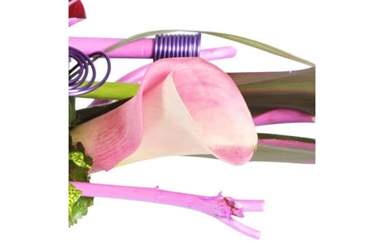 Composition Florale Chrysalide 2 Composition Florale Chrysalide – Image 2